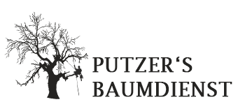 Putzer's Baumdienst